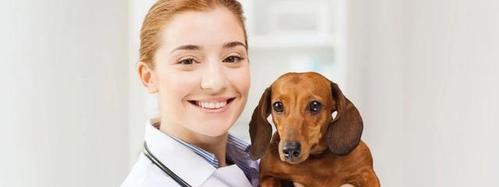 狗打完疫苗咳嗽，原因和预防方法解析（以宠物为主）