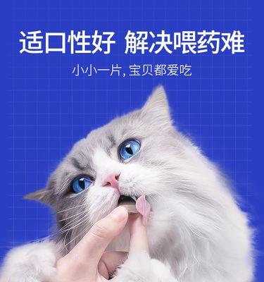 猫咪肾结石形成原因及预防措施（深入了解猫咪肾结石的成因及预防方法）