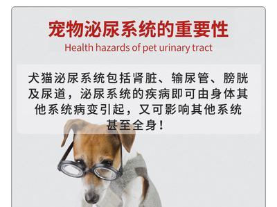 小狗尿道结石的治疗方法（宠物健康关键一步不可少-尿道结石的预防和治疗）