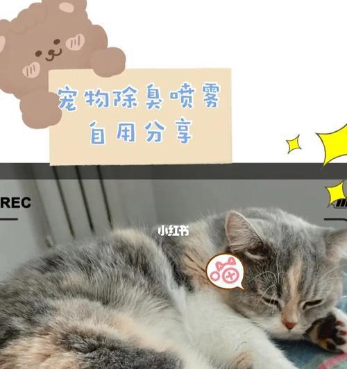 小猫拉稀怎么办（如何处理宠物吃东西后腹泻问题）