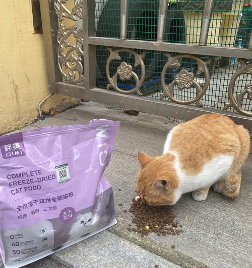 小猫猫粮购买指南（为你的宠物寻找最健康的食物）