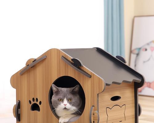 DIY猫咪窝，让您的爱宠有一个舒适的家（制作一个适合猫咪的窝）
