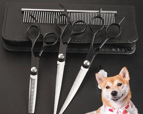 如何用狗狗剪毛弯剪刀为宠物剪毛（为宠物准备好的剪毛工具和步骤）