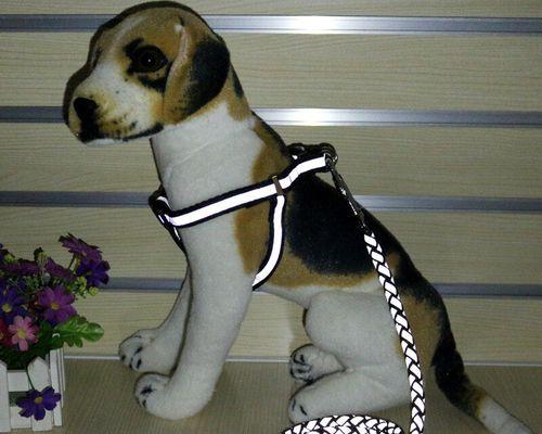 宠物狗安全出行必知的绳套方法（从选绳到使用）