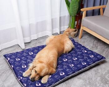 为什么宠物狗狗需要睡垫（揭秘狗狗睡垫的重要性与选择技巧）