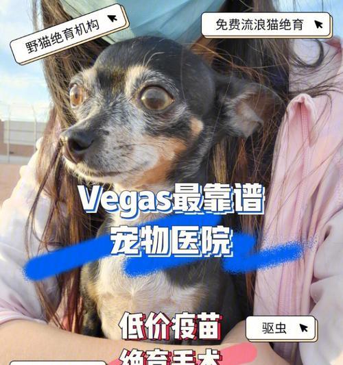 让你的宠物健康成长（让你的宠物健康成长）