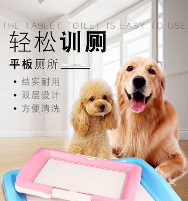 狗屎的颜色真相（探究狗屎颜色变化的原因）