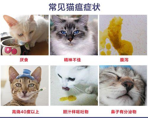 治疗猫吐的药品大全（以宠物为主）