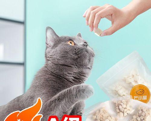 猫咪能吃鸡肉吗（探究猫咪饮食中的营养需求及鸡肉的适宜程度）