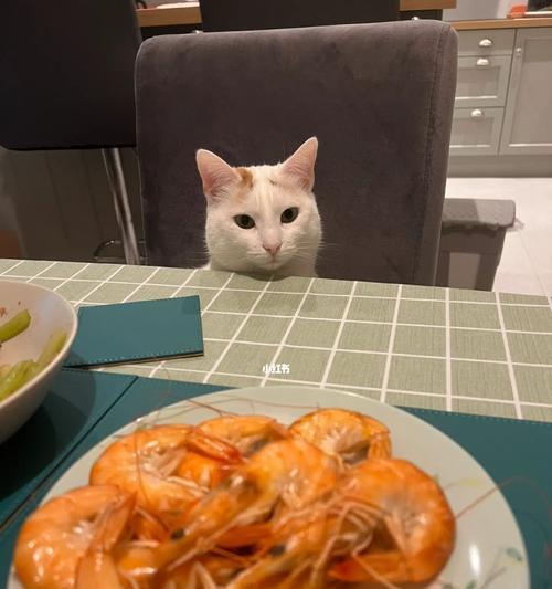 猫咪吃虾的好处与注意事项（宠物猫咪是否适合吃虾）