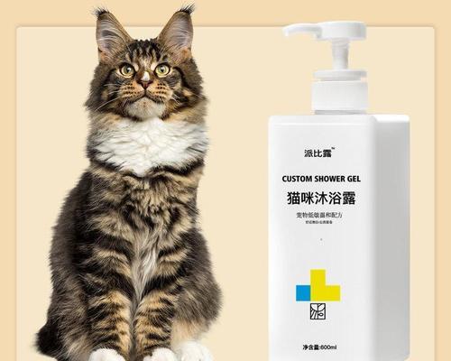 猫咪洗澡的正确时间（猫咪洗澡频率）
