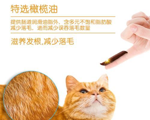 宠物健康与美容必备神器——猫咪化毛膏（解决宠物毛发问题）