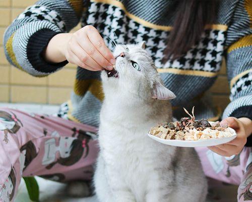 猫咪换猫粮注意事项详解（以宠物为主）