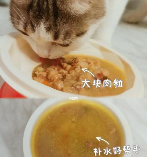 猫咪加餐吃什么（宠物健康饮食从此不用愁）