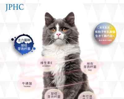 猫咪结肠症——宠物健康危机（从症状到治疗）