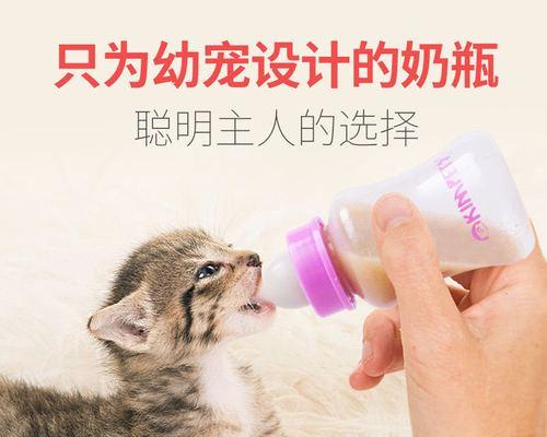 猫咪可以喝牛奶吗（揭开猫咪喝牛奶的真相）