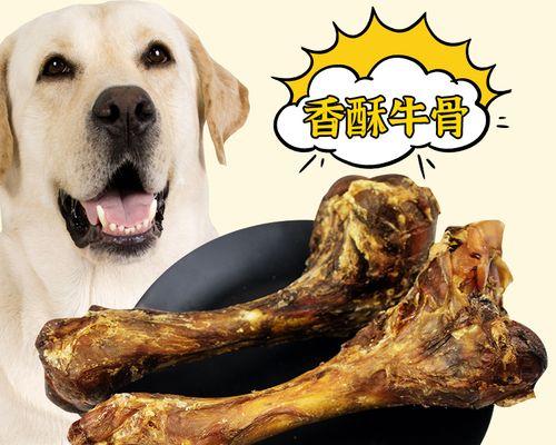 如何安全给宠物狗狗做骨头（做骨头的正确方法及注意事项）