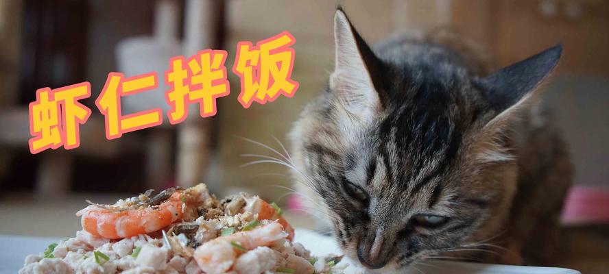 如何为宠物猫咪做营养丰富的猫饭（营养均衡）