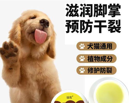 如何给宠物小狗磨爪子（狗狗美容必修课！从基础到进阶）