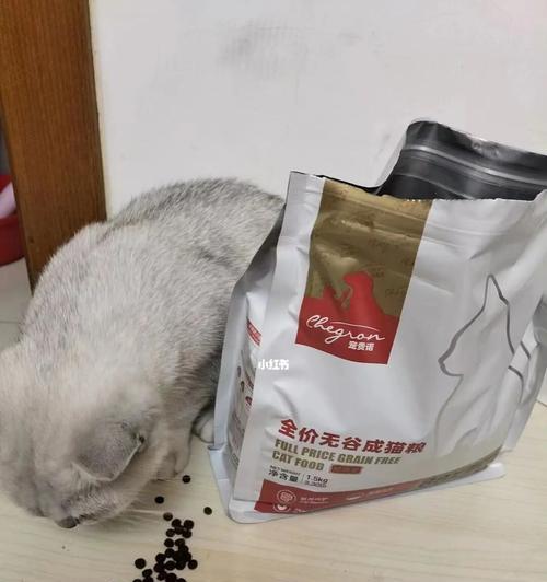 如何正确给小猫泡猫粮（宠物养护的必要技巧——猫咪饮食健康保障）