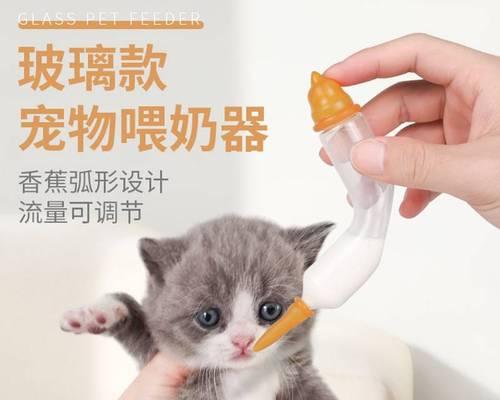 如何给宠物小猫喂药水（小猫喂药的技巧和注意事项）
