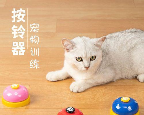 如何判断猫咪是否怀孕（从观察行为到检查乳头）