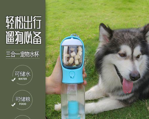 狗狗喝水训练全攻略（培养宠物健康饮水习惯）