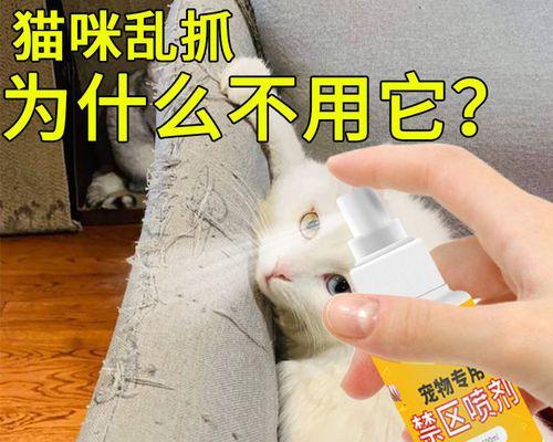 如何刺激小猫尿尿（宠物家庭必备技能）