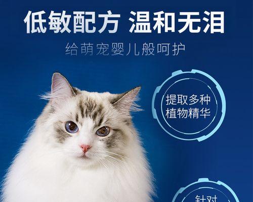 小猫洗澡必知必会（从准备工作到注意事项）