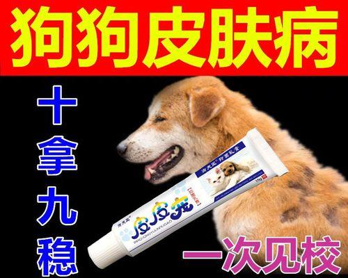 治疗狗狗真菌的药膏推荐（宠物保健必备）