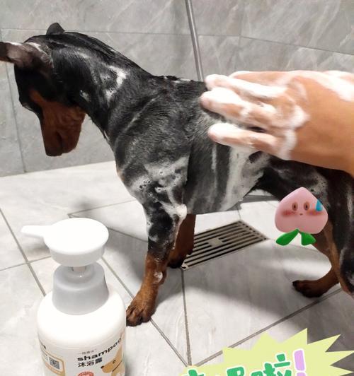 以小狗人的沐浴露，给你家宠物最健康的沐浴体验（让你的毛孩子在舒适）