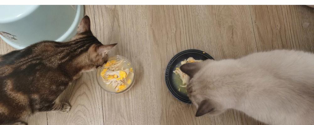 小猫喂鸡胸脯的正确方法（如何让你的宠物享受健康饮食）