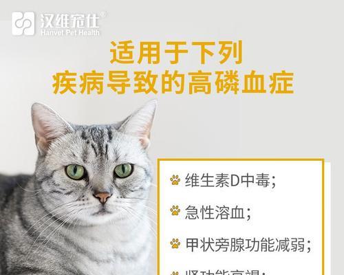 宠物猫咪肾衰竭的原因与预防（多种因素导致猫咪肾衰竭）