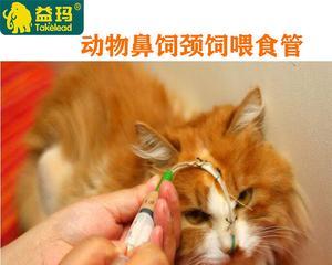 猫咪注射针剂必知，如何化繁为简？