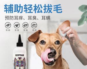 治疗宠物狗耳朵红的方法（选择正确的药物可以让您的宠物健康）