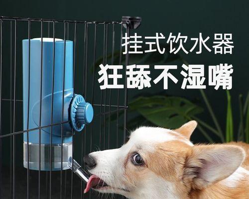 宠物狗发热不喝水的处理方法（如何帮助你的爱犬恢复健康）