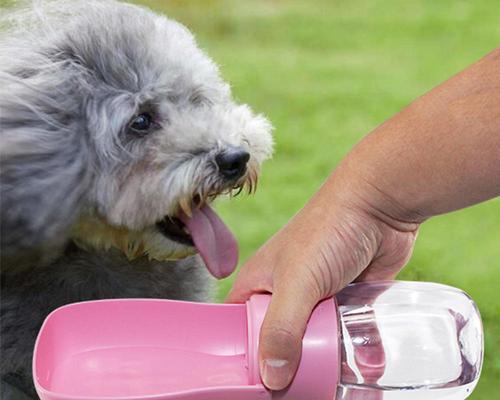 给宠物带上方便的饮水装备——狗狗便携水壶（解决宠物户外饮水难题）