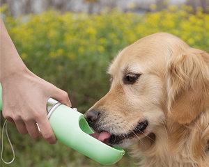 狗狗不爱动，爱喝水，原因何在（探讨狗狗喜欢喝水的真正原因及如何促进运动）