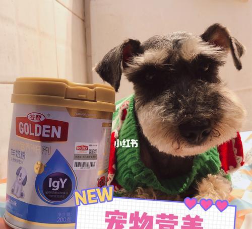 狗狗何时可以开始喝羊奶粉（以宠物为主）