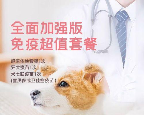 狗狗截耳并不影响打疫苗——一篇关于宠物健康的知识分享（狗狗截耳后能否打疫苗）