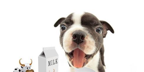 狗狗拉稀时能否喝酸奶（探讨狗狗喝酸奶对拉稀的影响）
