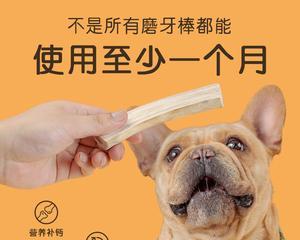 狗狗磨牙棒的成分与作用（了解宠物磨牙棒所包含的成分）