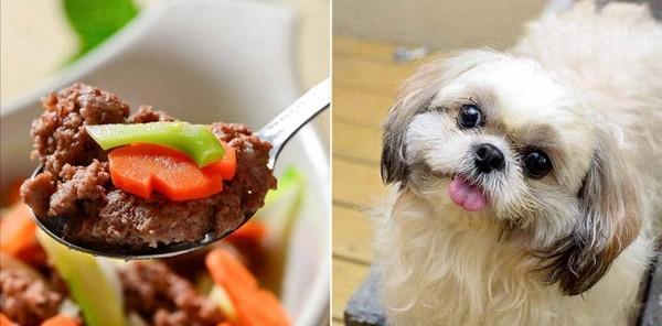 狗狗的饮食习惯——能否每天吃蔬菜（以狗狗为主的营养需求与蔬菜摄入）