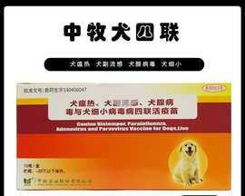 预防狗狗犬瘟，早吃药不可少（宠物健康从早餐开始）