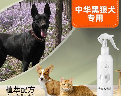 如何治疗狗狗肠子烂了（药物治疗是最有效的方法）