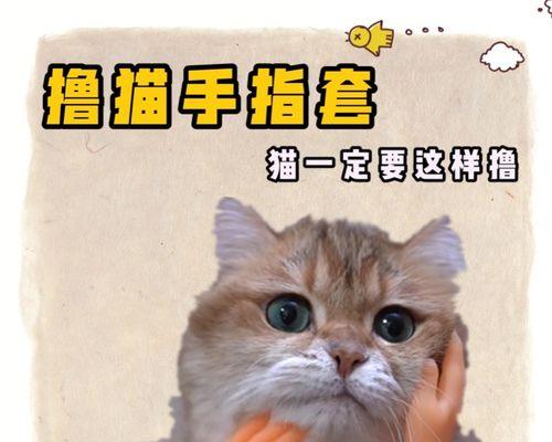 狗狗吃了手套怎么办（教你应对宠物误食手套的情况）