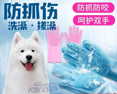 狗狗吃了手套怎么办（教你应对宠物误食手套的情况）