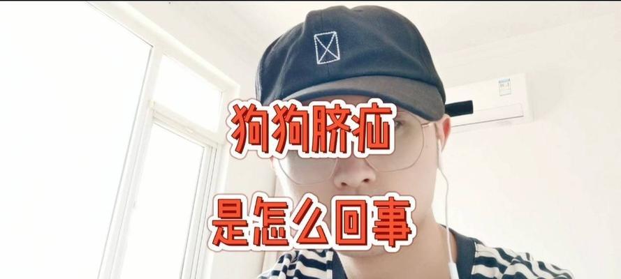 狗狗肚子脐疝的治疗方法（从药物到手术）