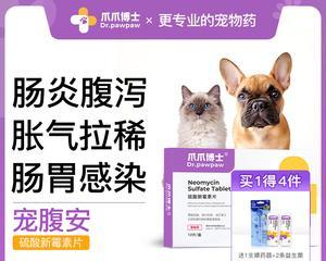 狗狗腹泻，必备消炎药（宠物腹泻的常见原因和选择消炎药的注意事项）