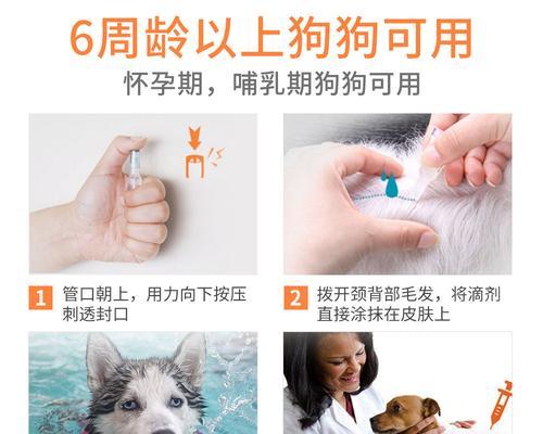狗狗怀孕期间需要注意的驱虫药问题